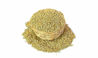Pearl Millet