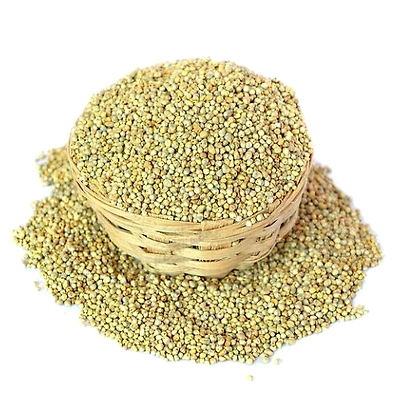 GAR Pearl Millet
