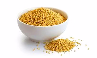 Foxtail Millet