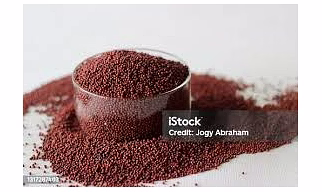 Finger Millet
