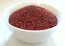 Finger Millet-1