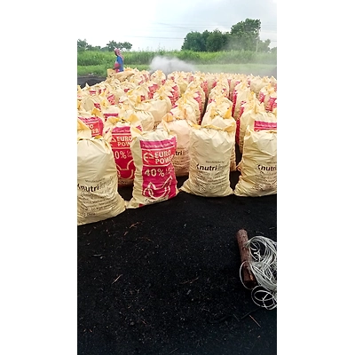 Hard Wood Charcoal