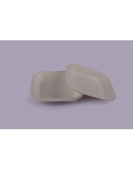 Bagasse Plates - 6 Inch Square Plate