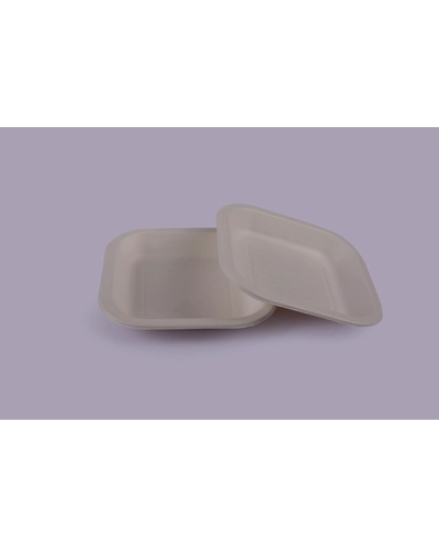 Bagasse Plates - 6 Inch Square Plate-6ISPG