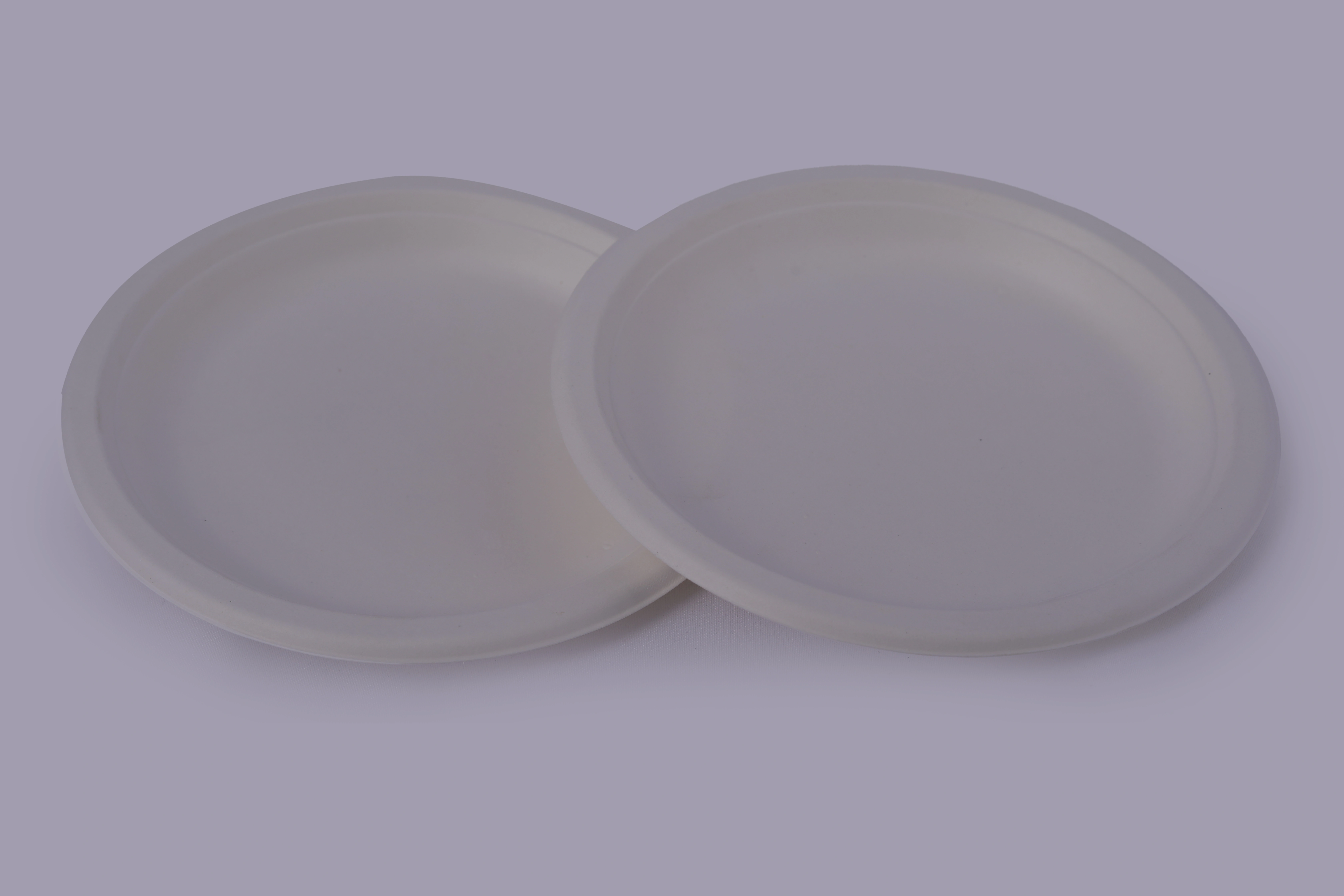 Bagasse Plates - 9 Inch Round Plates-9IRPM