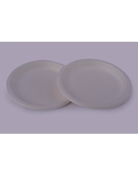 Bagasse Plates - 9 Inch Round Plates