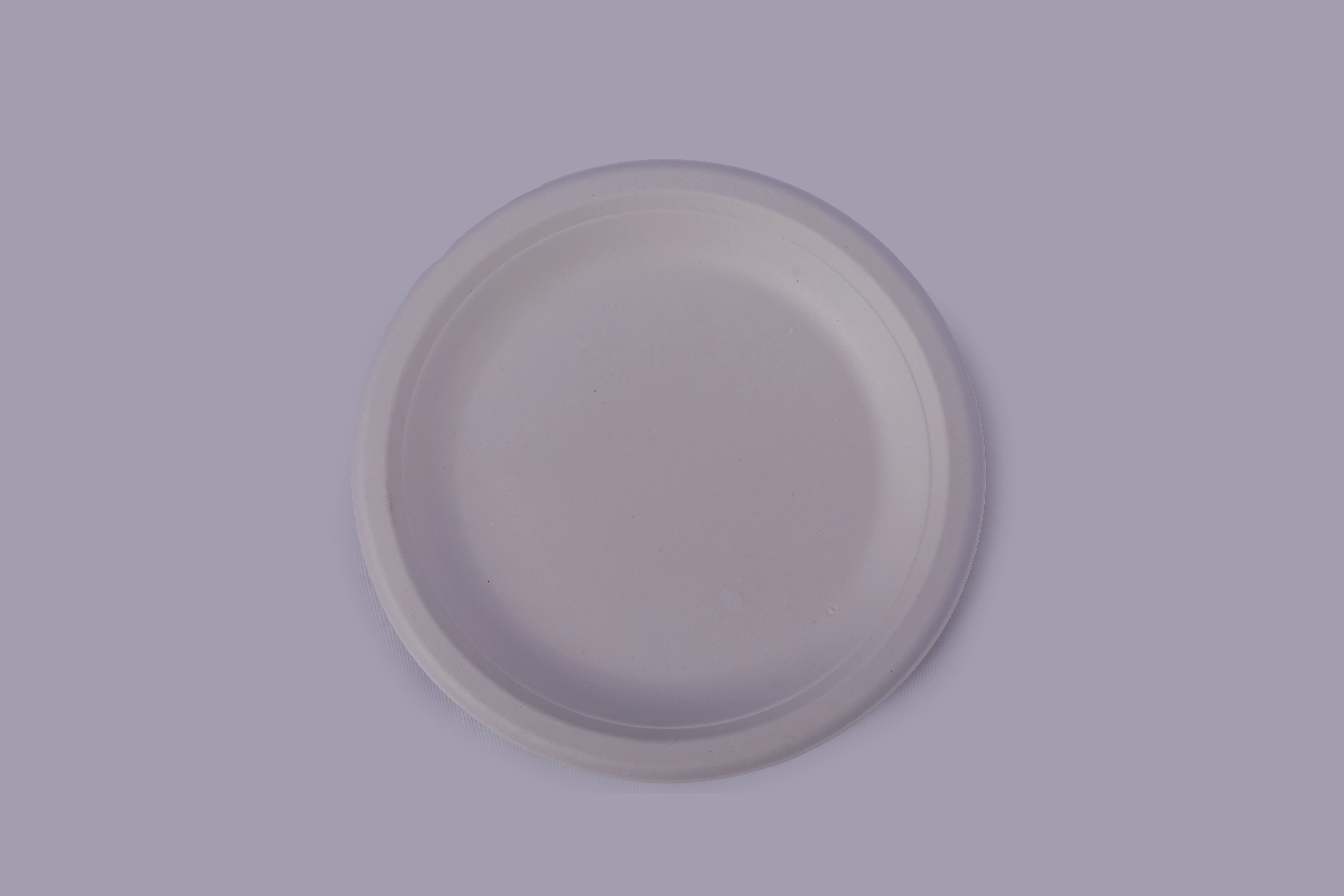 Bagasse Plates - 9 Inch Round Plates-1