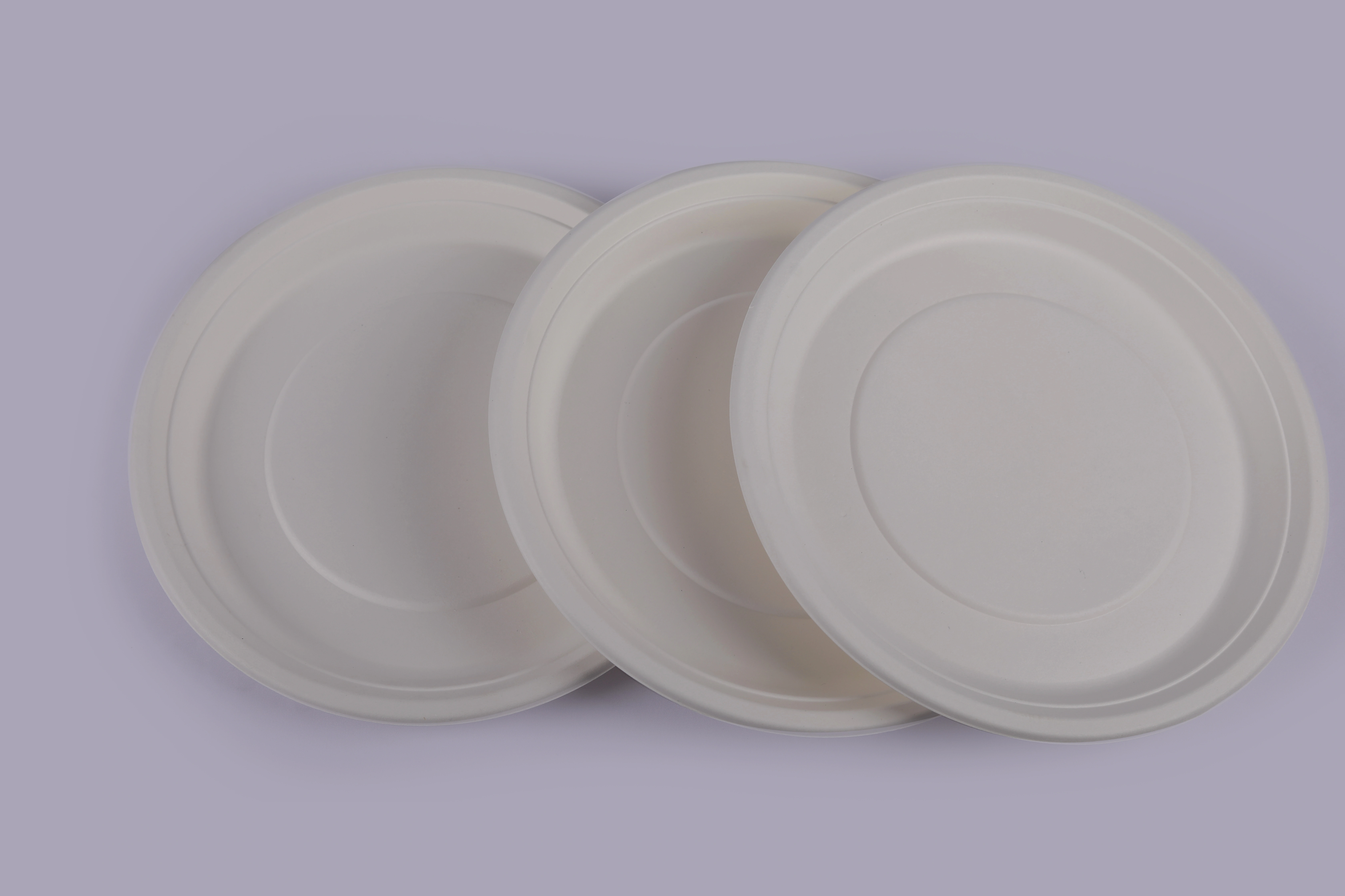 Bagasse Plates - 12 Inch Round Plates-12IRPM