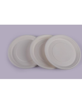 Bagasse Plates - 12 Inch Round Plates