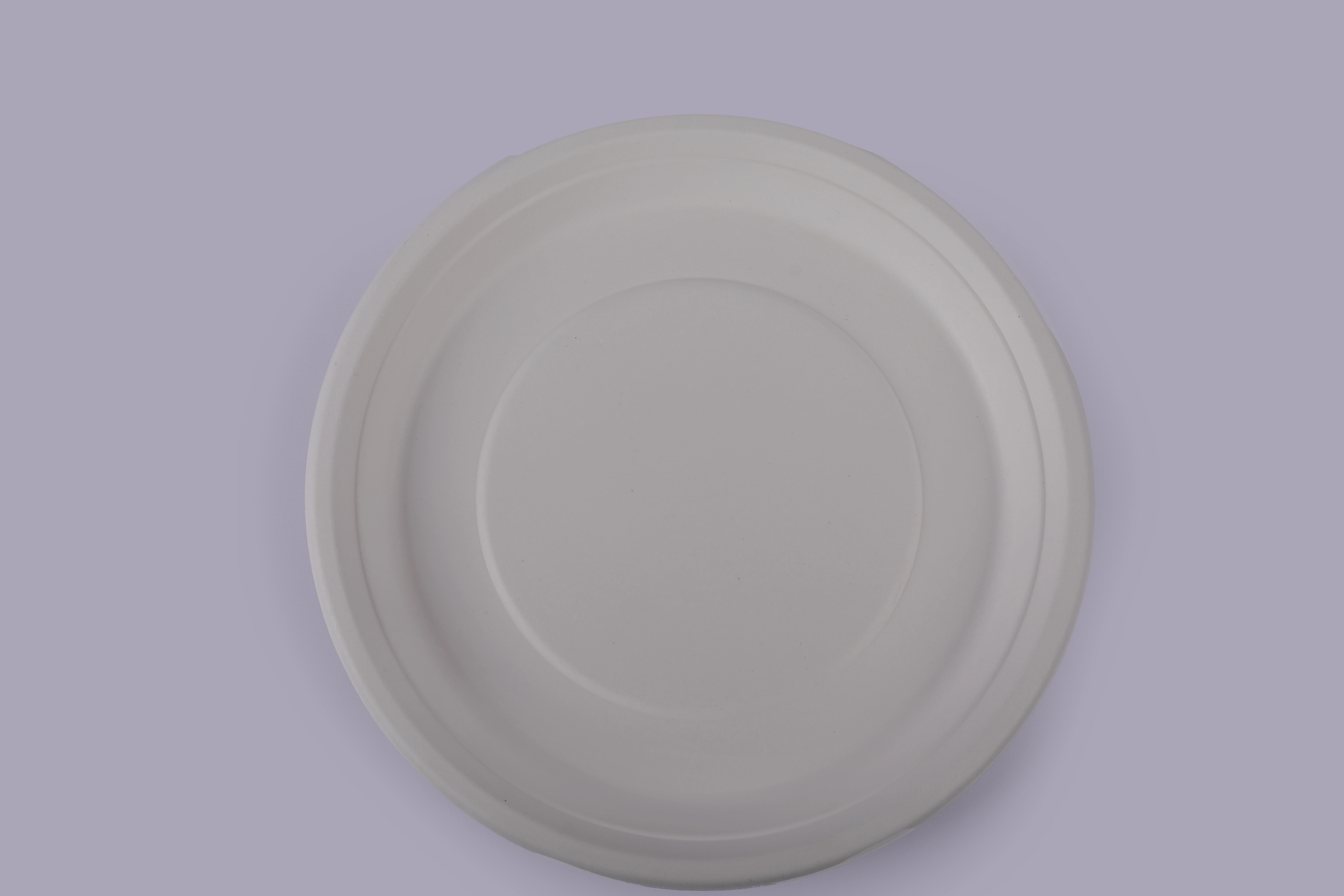 Bagasse Plates - 12 Inch Round Plates-1