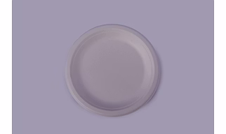 Baggase Plates - 6 Inch Round Plate