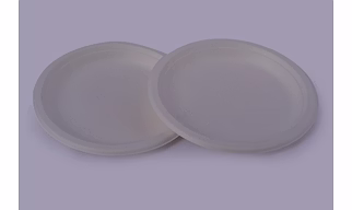 Bagasse Plates - 11 Inch Round Plates