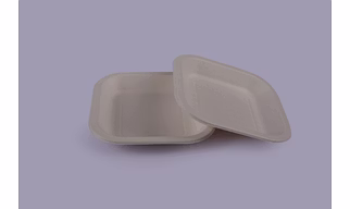 Baggase Plates - 9 Inch Square Plate