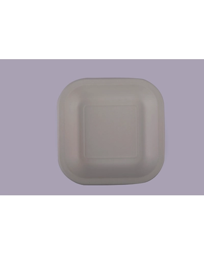 Baggase Plates - 9 Inch Square Plate-1