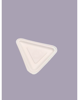 Bagasse Snack Plate
