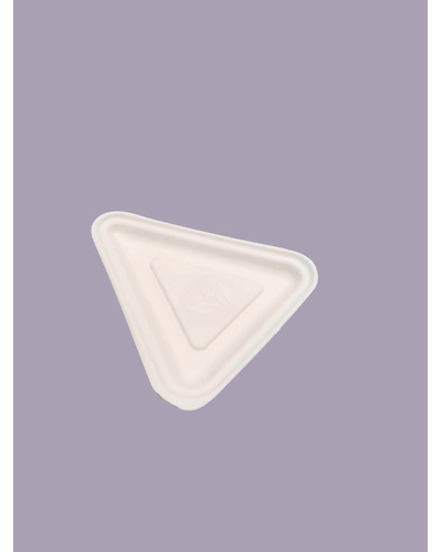 Bagasse Snack Plate-TSPB