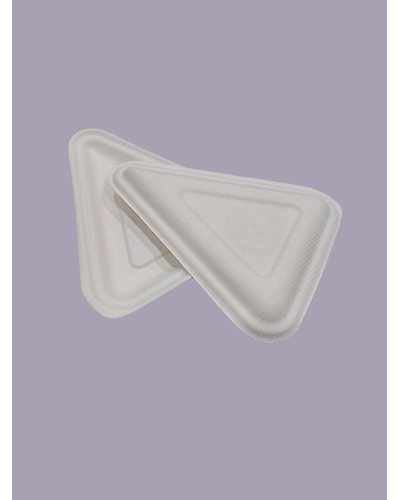 Bagasse Snack Plate-1