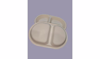 Bagasse Plates -  2 Compartment Plate