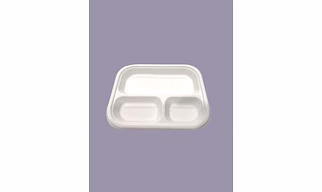 Baggase Plates - 3 Compartment Rectangle Plate