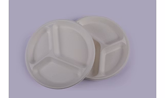 Bagasse Plates - 10 Inch 3 Compartment Round Plates