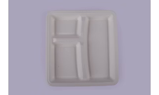 Baggase Plates - 10 Inch 3 Compartment Square Plate