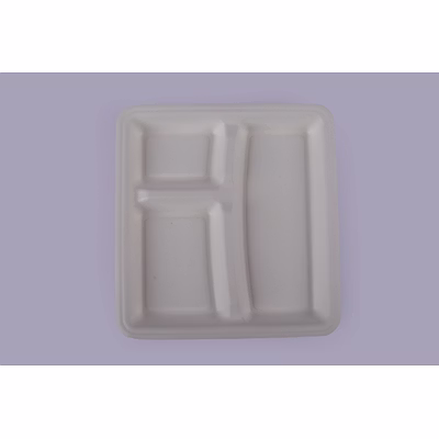 baggase plates - 10 inch 3 compartment square plate