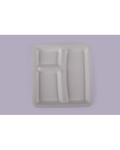 Baggase Plates - 10 Inch 3 Compartment Square Plate-10I3CPSPM