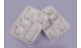 Bagasse Meal Tray - 5 Compartment Meal Tray