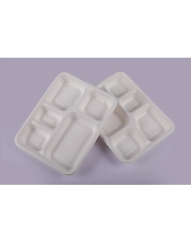 Bagasse Meal Tray - 5 Compartment Meal Tray