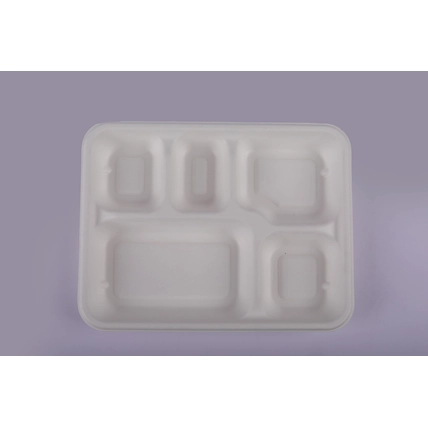 Bagasse Meal Tray - 5 Compartment Meal Tray-1