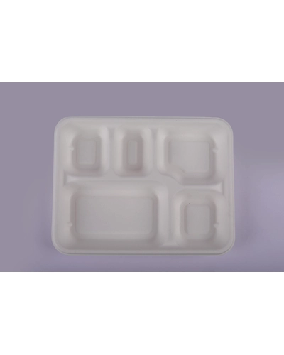 Bagasse Meal Tray - 5 Compartment Meal Tray-1