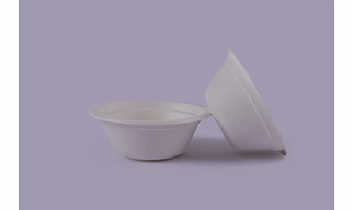 Bagasse Bowls - 6OZ - 180 ML Round Bowl