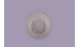 Bagasse Bowls - 8OZ - 240 ML Round Bowl