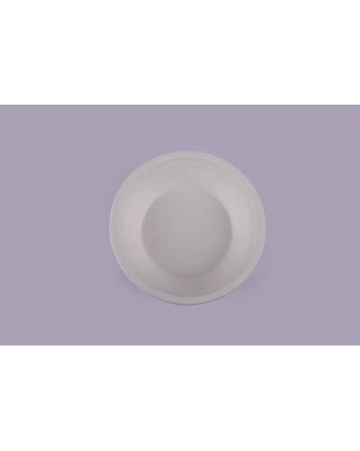 Bagasse Bowls - 12OZ - 360 ML Round Bowl-1
