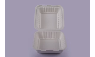 Bagasse Clamshells - 6 x 6 Plain Clamshells