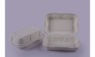 Bagasse Clamshells - 9 x 6 Plain Clamshells