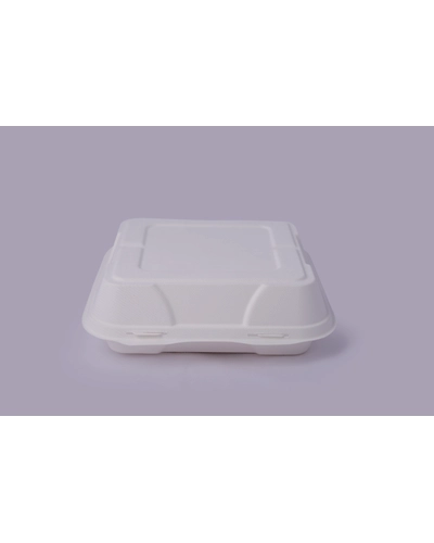 Bagasse Clamshells - 9 x 9 Plain Clamshells-1