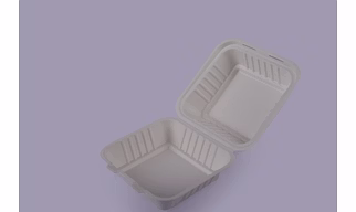 Bagasse Clamshells - 9 x 9 Plain Clamshells