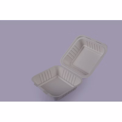 bagasse clamshells - 9 x 9 plain clamshells