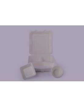Bagasse Clamshells - 9 x 9 3 Compartment Clamshells
