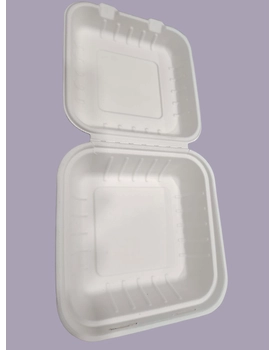 Bagasse Clamshells - 8 x 8 Plain Clamshells