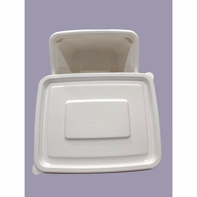 bagasse containers - 750 ml white rectangular container with lid