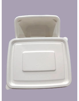 Bagasse Containers - 750 ML White Rectangular Container with LID