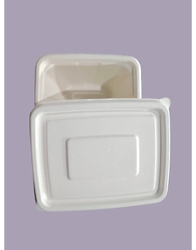 Bagasse Containers - 1000 ML White Rectangular Container with LID