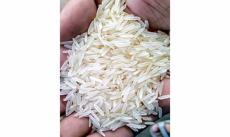 1121 Sella Basmati Rice