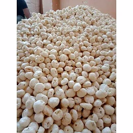 foxnuts (makhana)