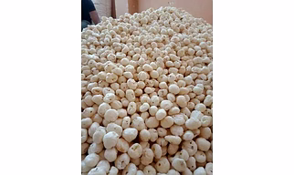 FOXNUTS (MAKHANA)