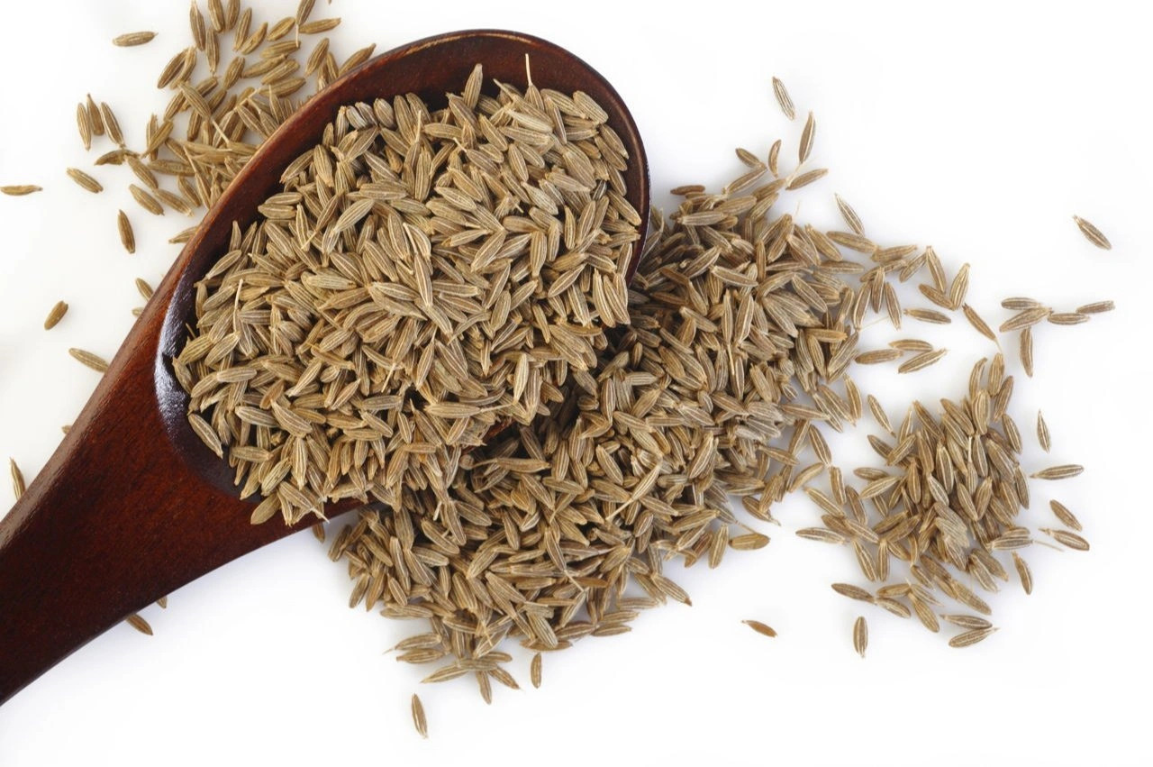 Cumin seeds (1) Quality-1