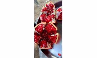 pomegranate