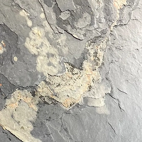 Autumn Rustic Slate Stone Veneer